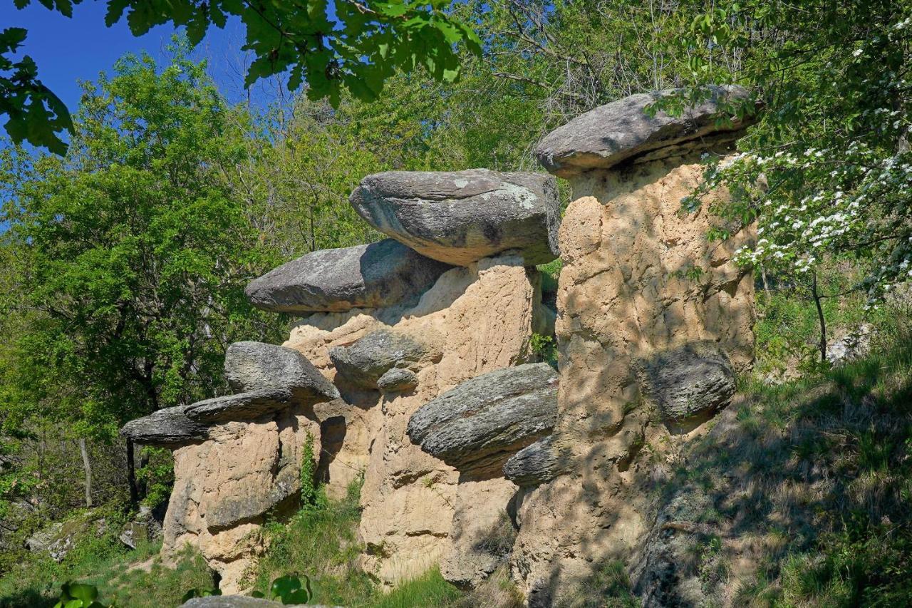 Pensione Albergo Diffuso Ceaglio Valle Maira 마르모라 외부 사진