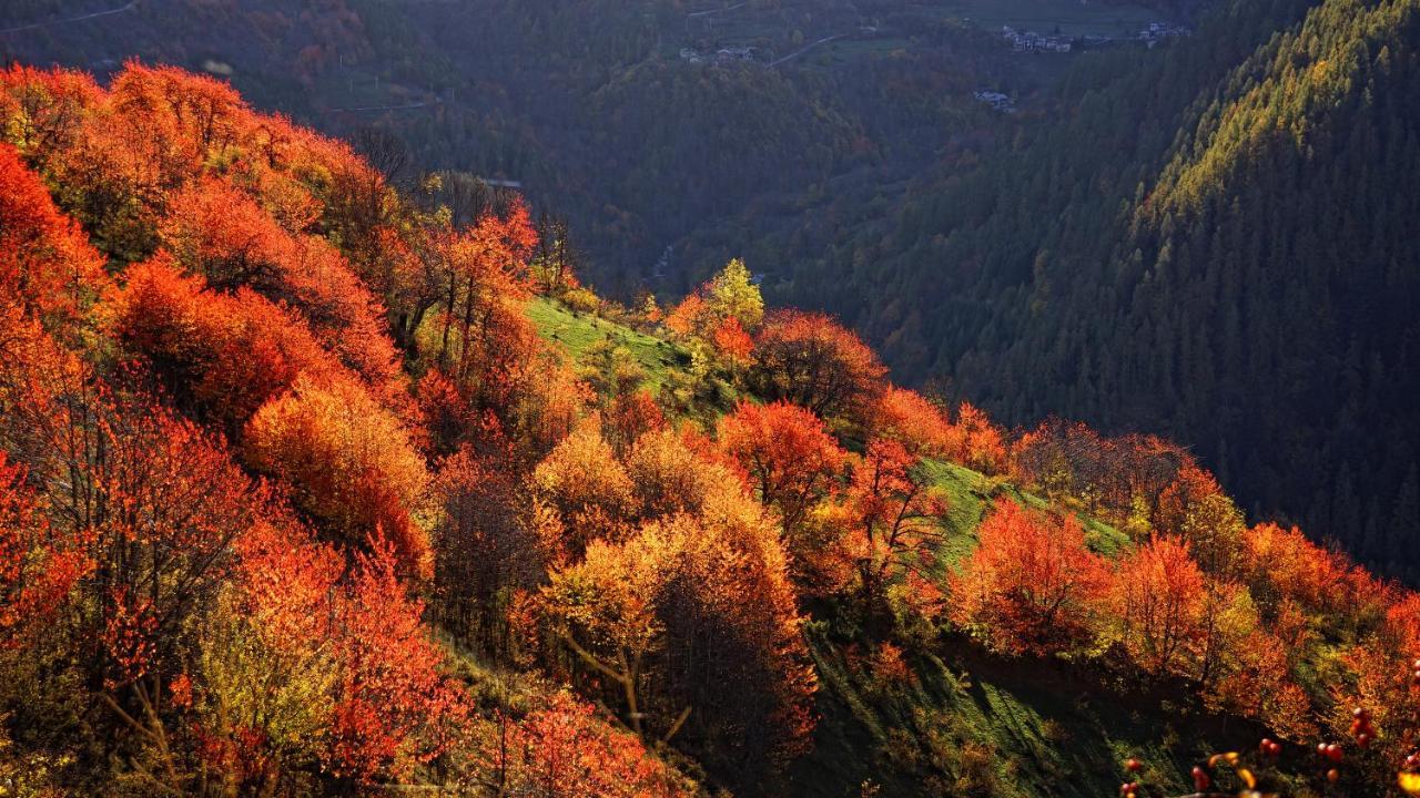 Pensione Albergo Diffuso Ceaglio Valle Maira 마르모라 외부 사진
